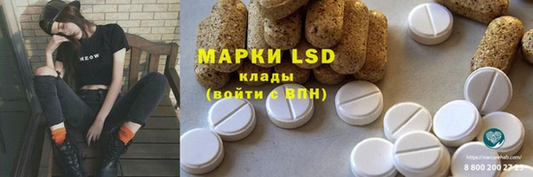 индика Алзамай