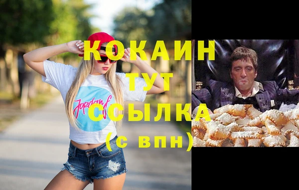 индика Алзамай