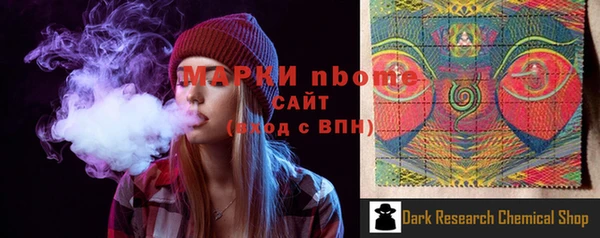 индика Алзамай