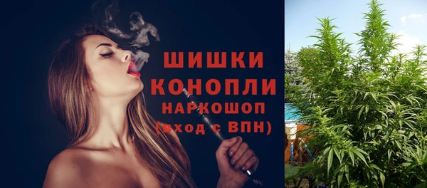 индика Алзамай