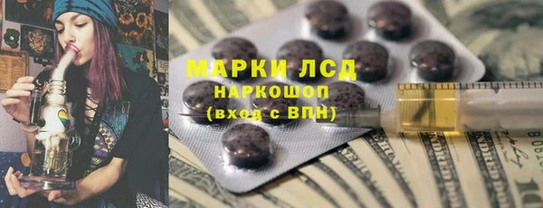 индика Алзамай